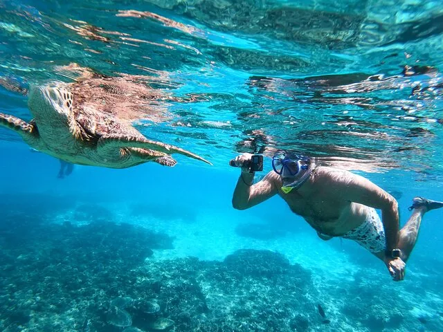 Ein Schnorchler filmt eine Meeresschildkröte mit einer Unterwasserkamera in klarem blauem Wasser.