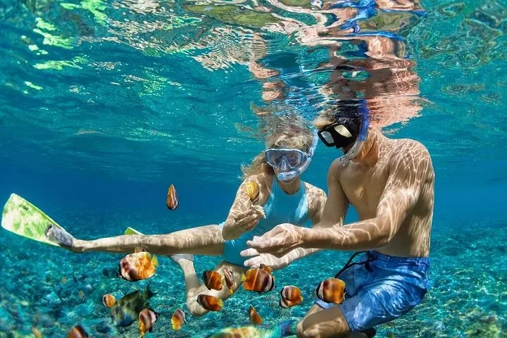 Ein Paar schnorchelt unter Wasser, umgeben von kleinen, bunten Fischen nahe dem Meeresboden.