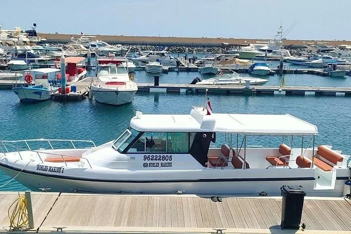 Ein kleines weißes Tourboot, das in einem Yachthafen festgemacht hat, mit weiteren Booten in der Nähe.